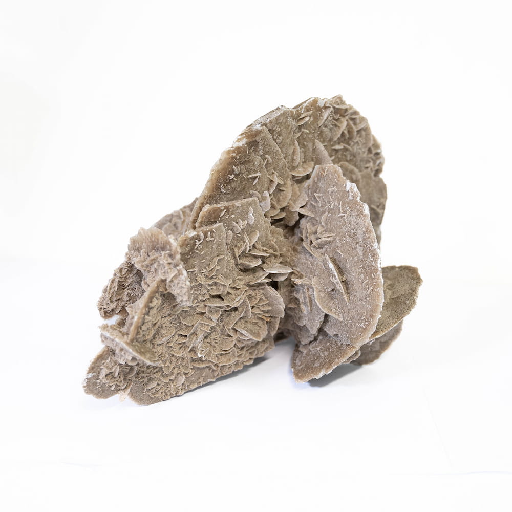 Desert Rose Cluster