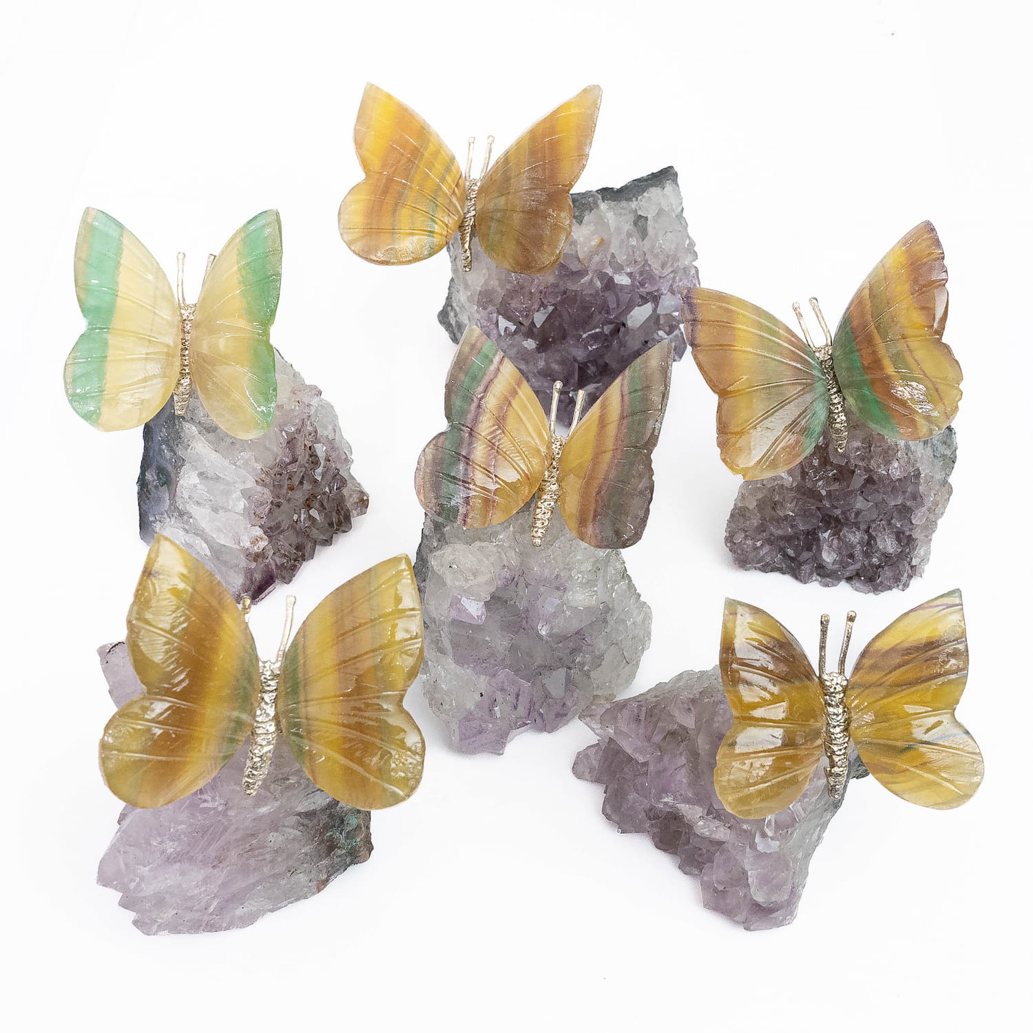 Fluorite Butterfly on Druze