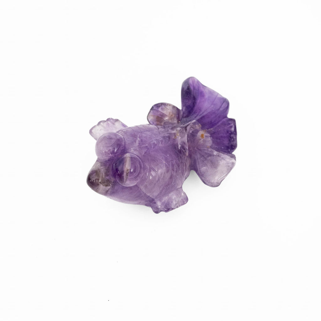 Amethyst Goldfish