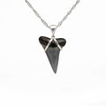 Megalodon Tooth Pendant