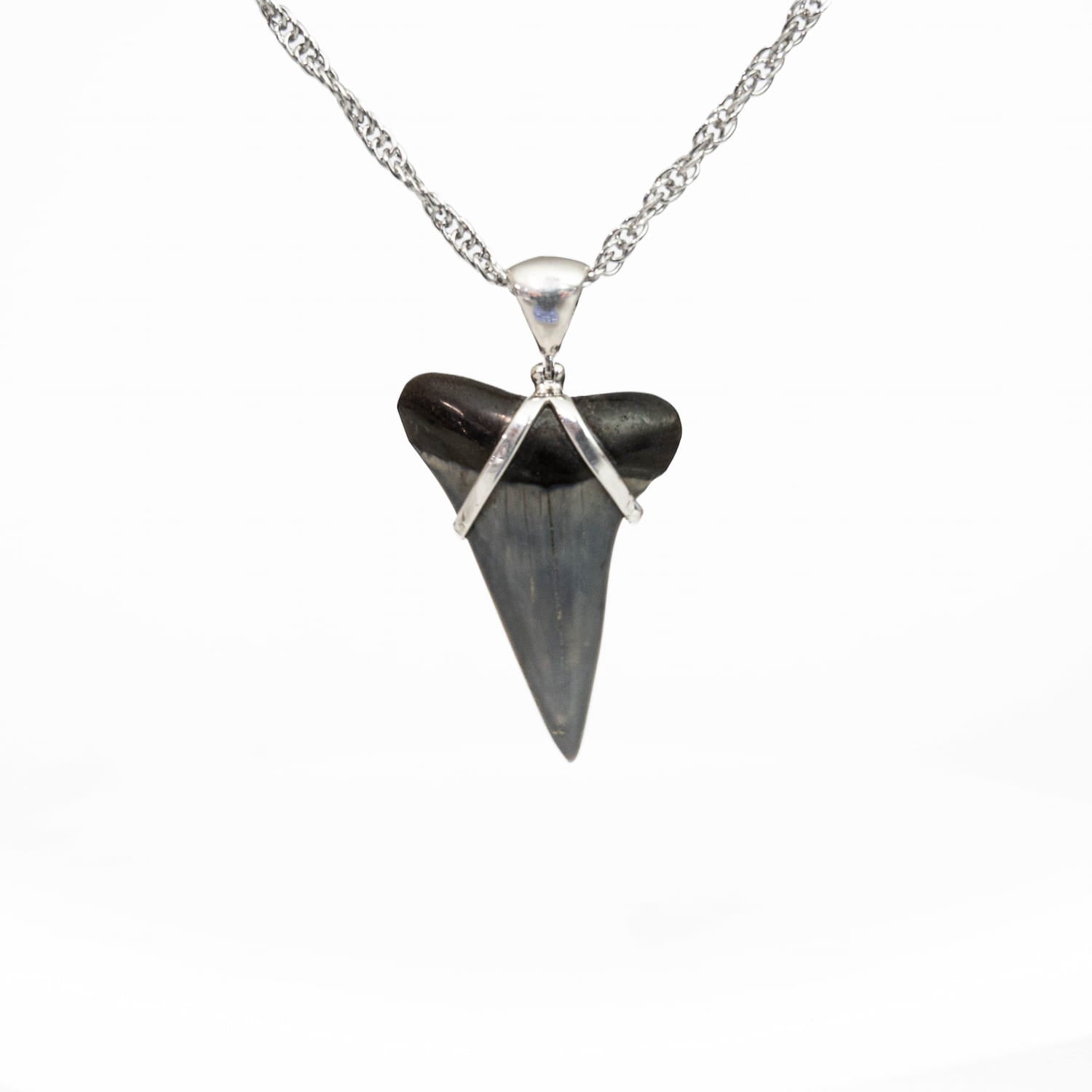 Megalodon Tooth Pendant