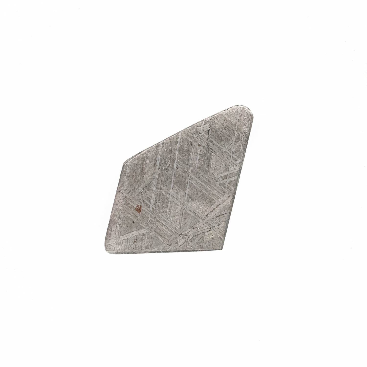 Meteorite Slice