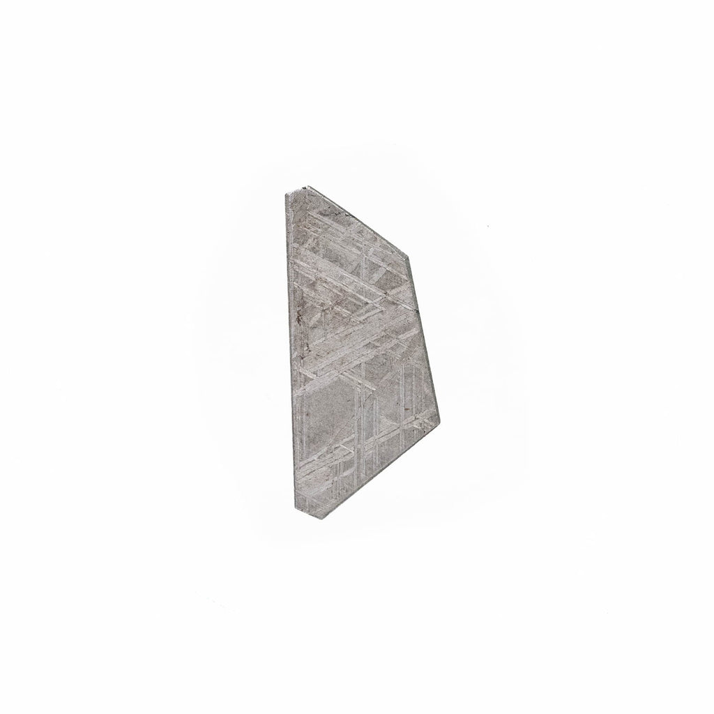 Meteorite Slice