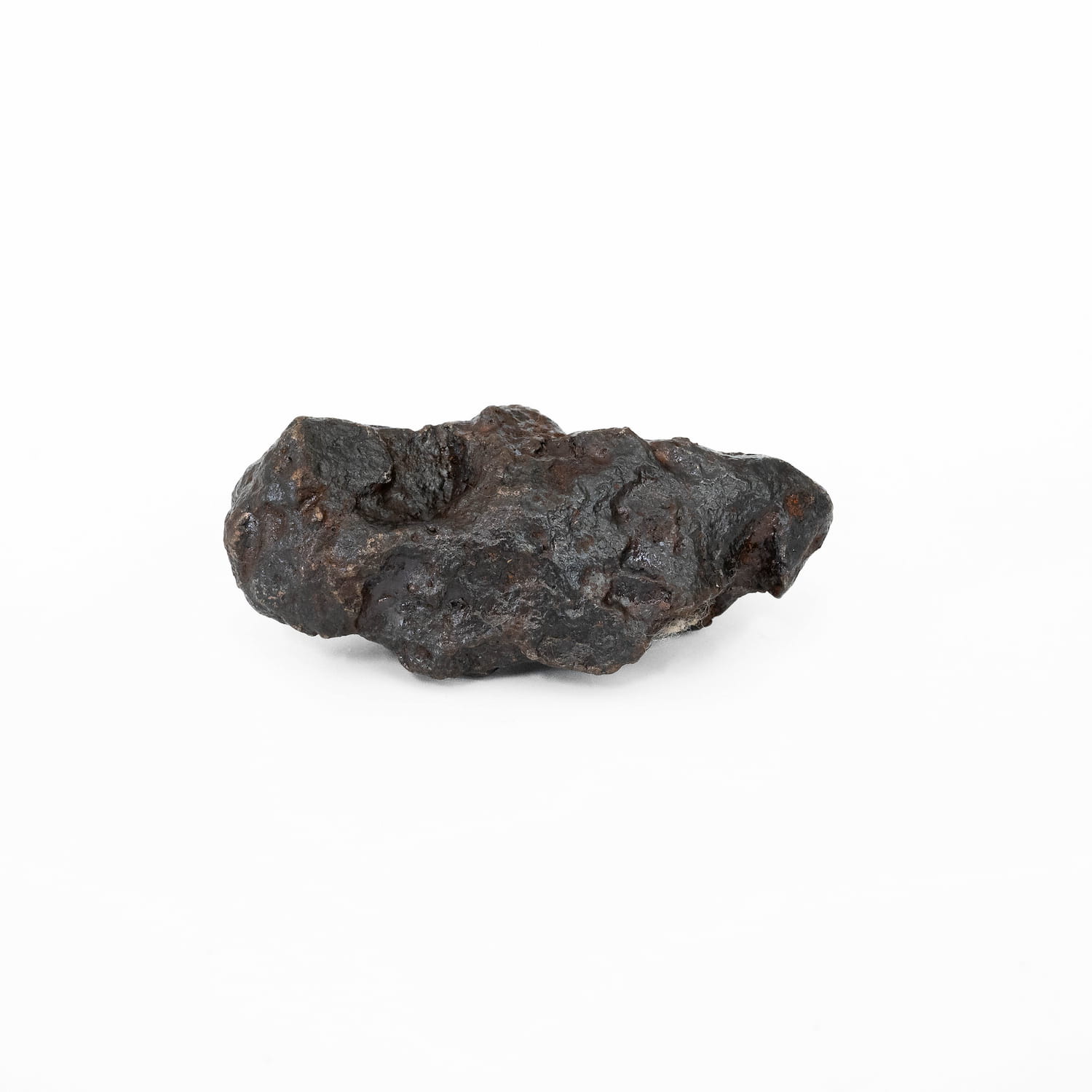 Meteorite Specimen