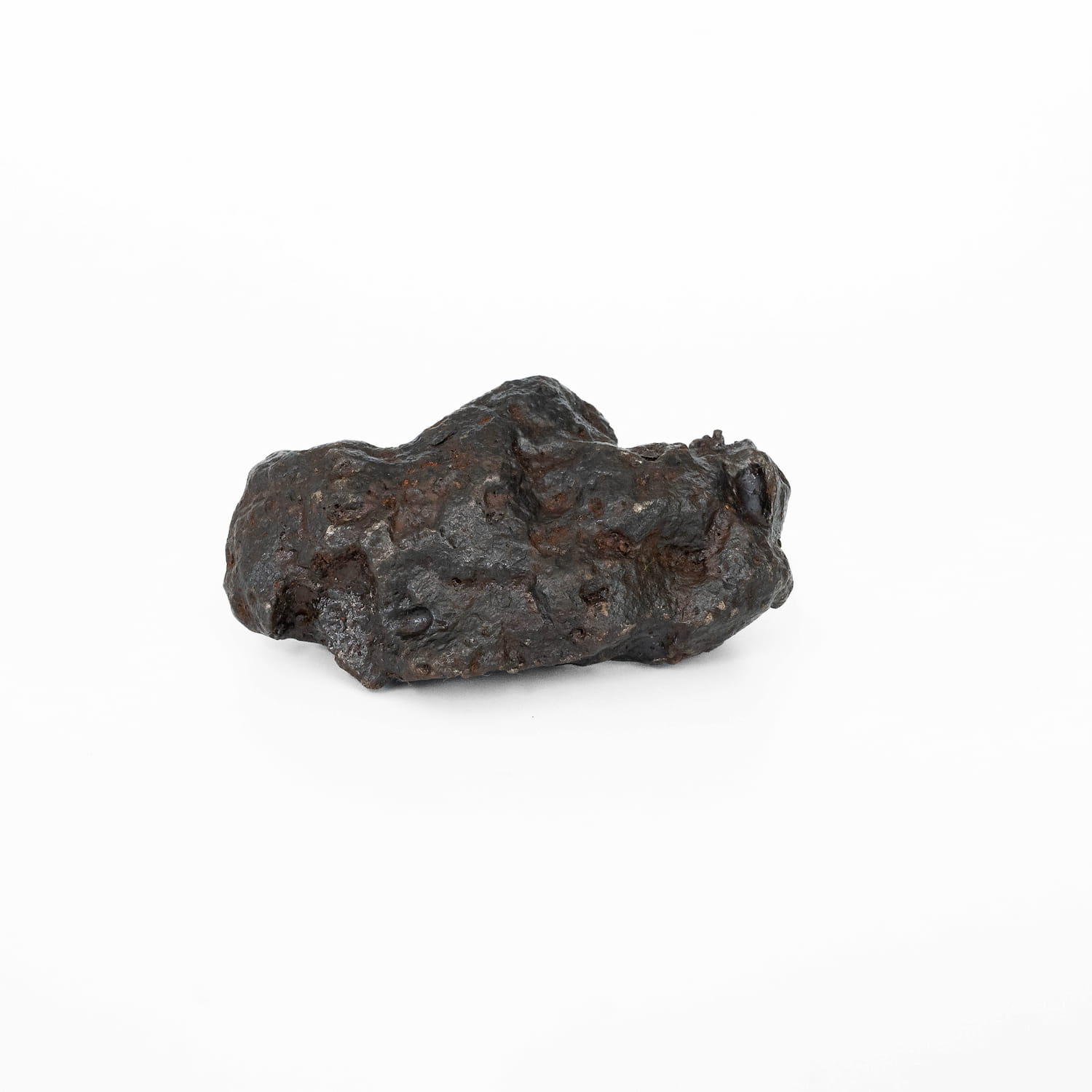 Meteorite Specimen