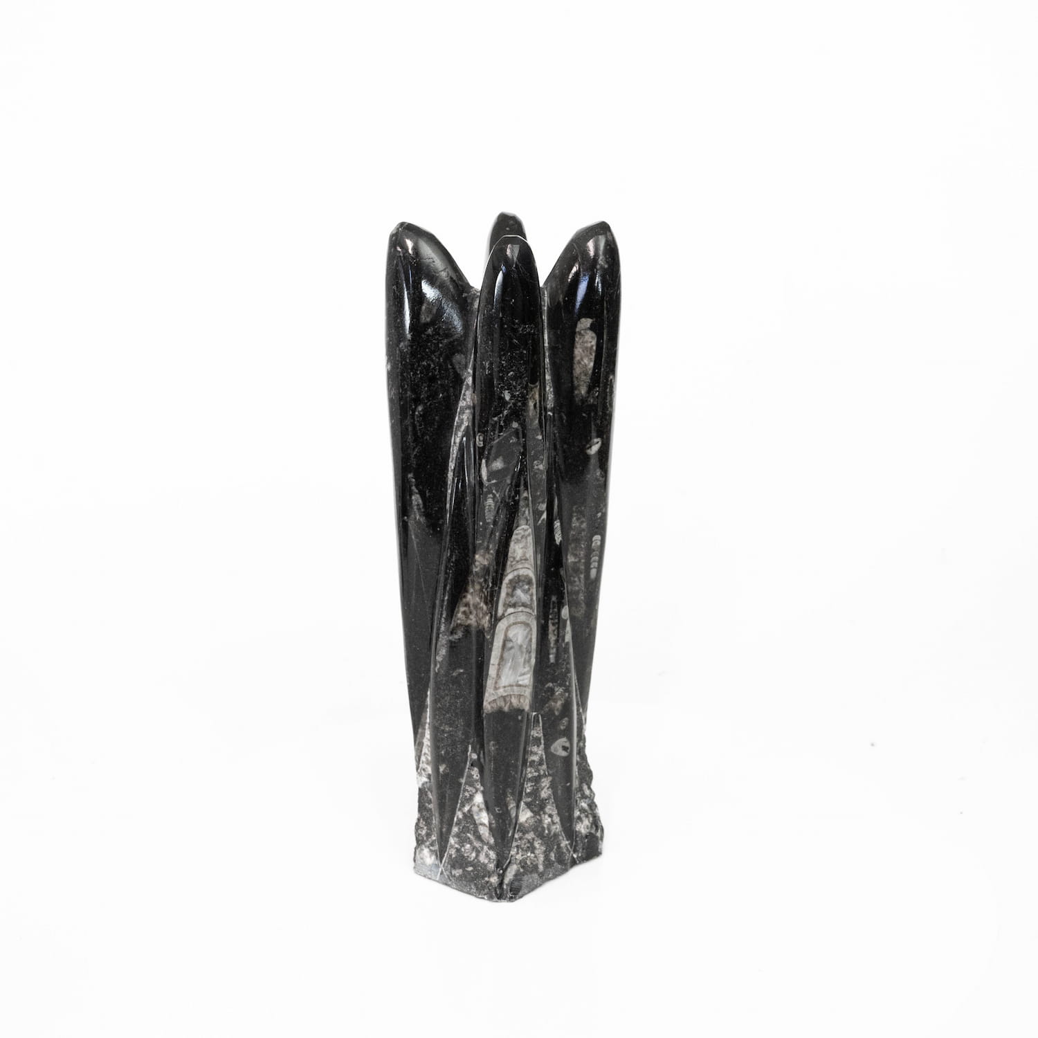 Orthoceras Tower