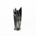 Orthoceras Tower