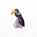 Onyx Toucan