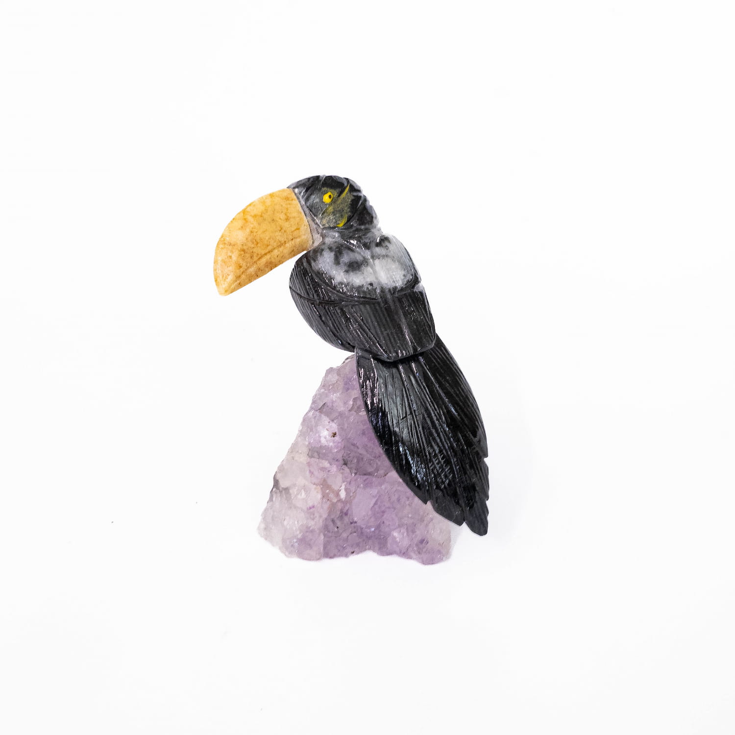 Onyx Toucan