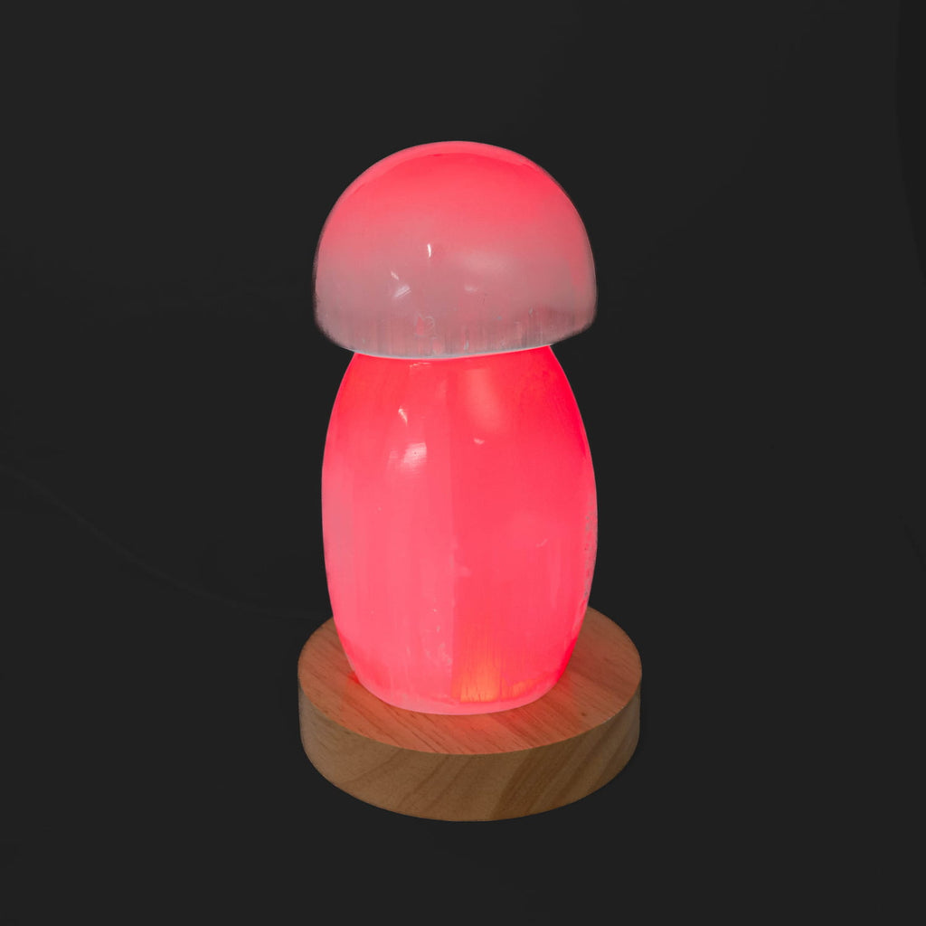 Selenite Lamp