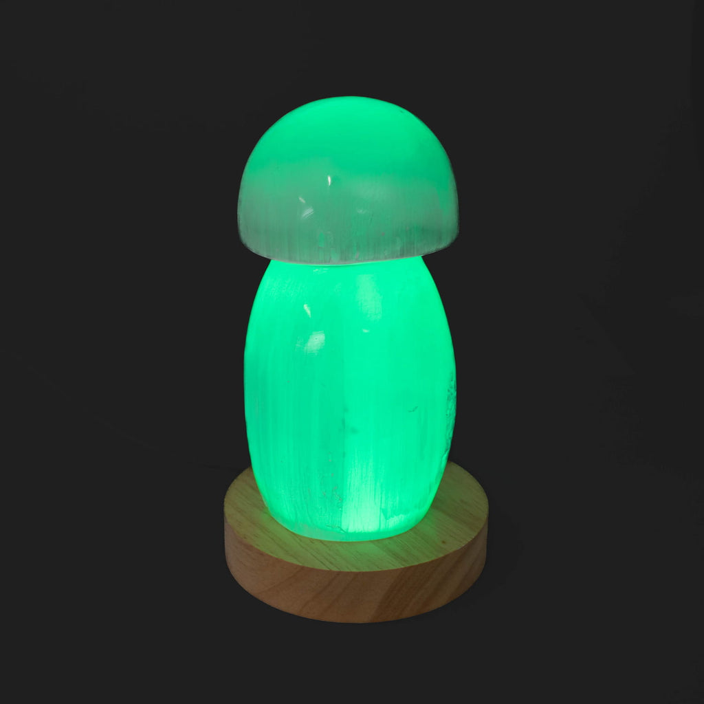 Selenite Lamp