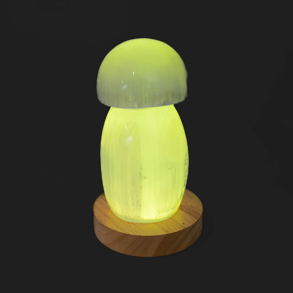 Selenite Lamp