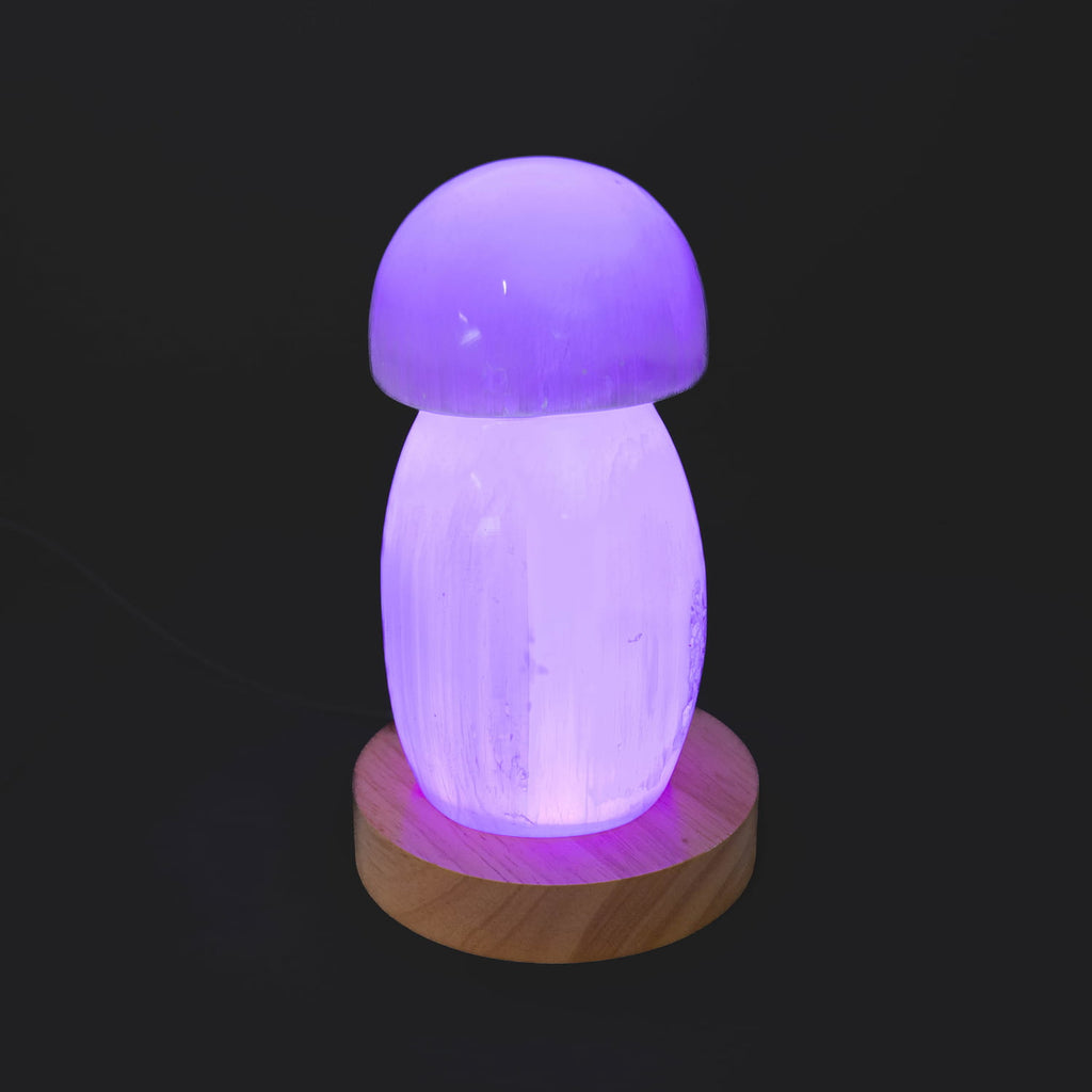 Selenite Lamp