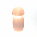 Selenite Lamp