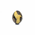 Septarian Egg