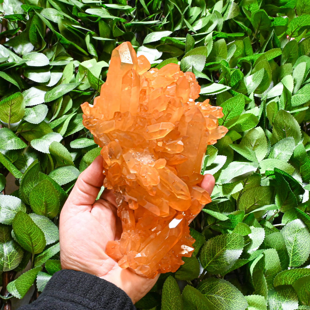 Tangerine Quartz Cluster