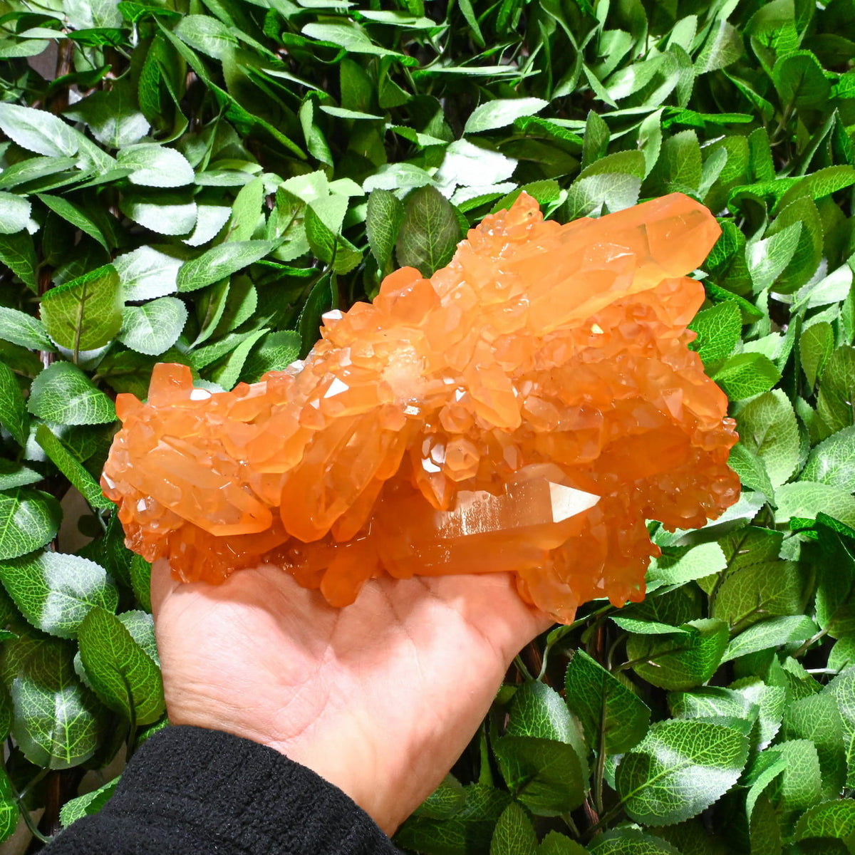Tangerine Quartz Cluster